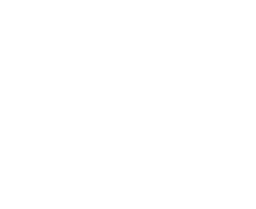academia lynor