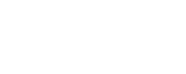 Meta Business Partner